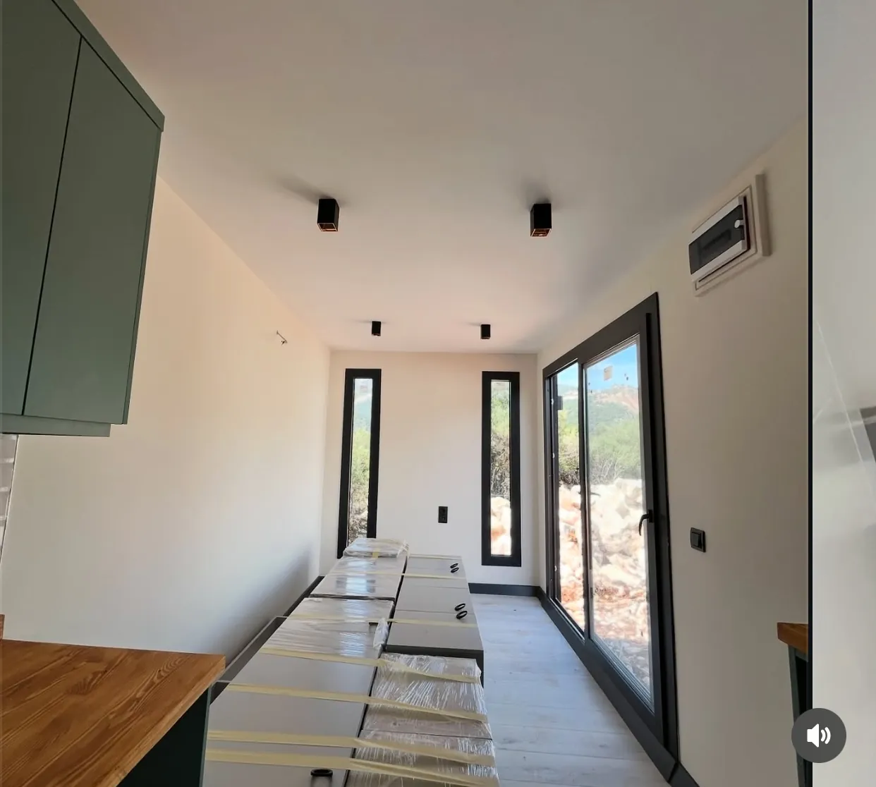 40ft container home kitchen run with green cabinetry and wood counters